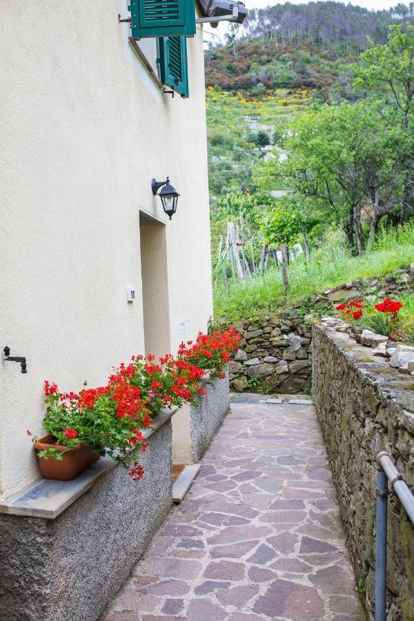 Casa Vacanze Tra Le Mura 莱万托 外观 照片