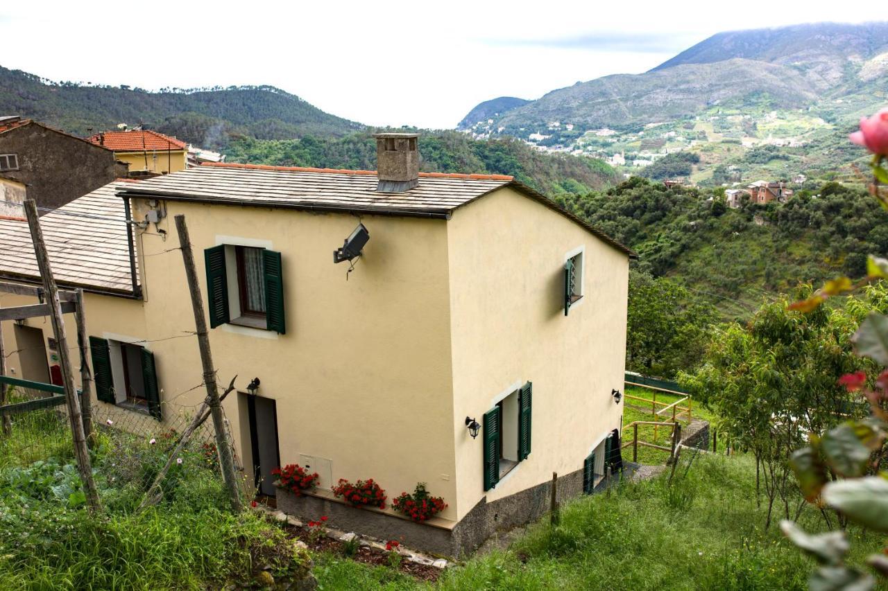 Casa Vacanze Tra Le Mura 莱万托 外观 照片