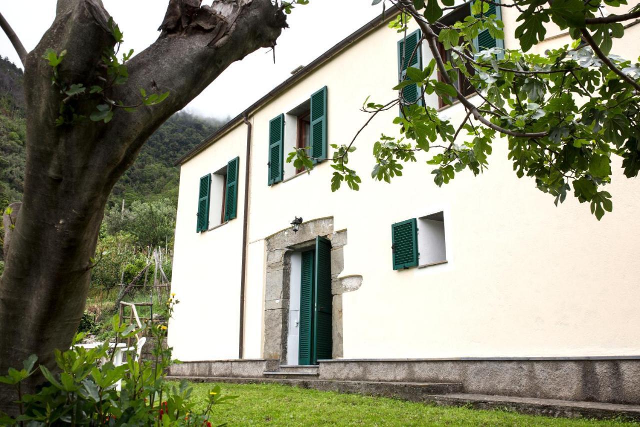 Casa Vacanze Tra Le Mura 莱万托 外观 照片