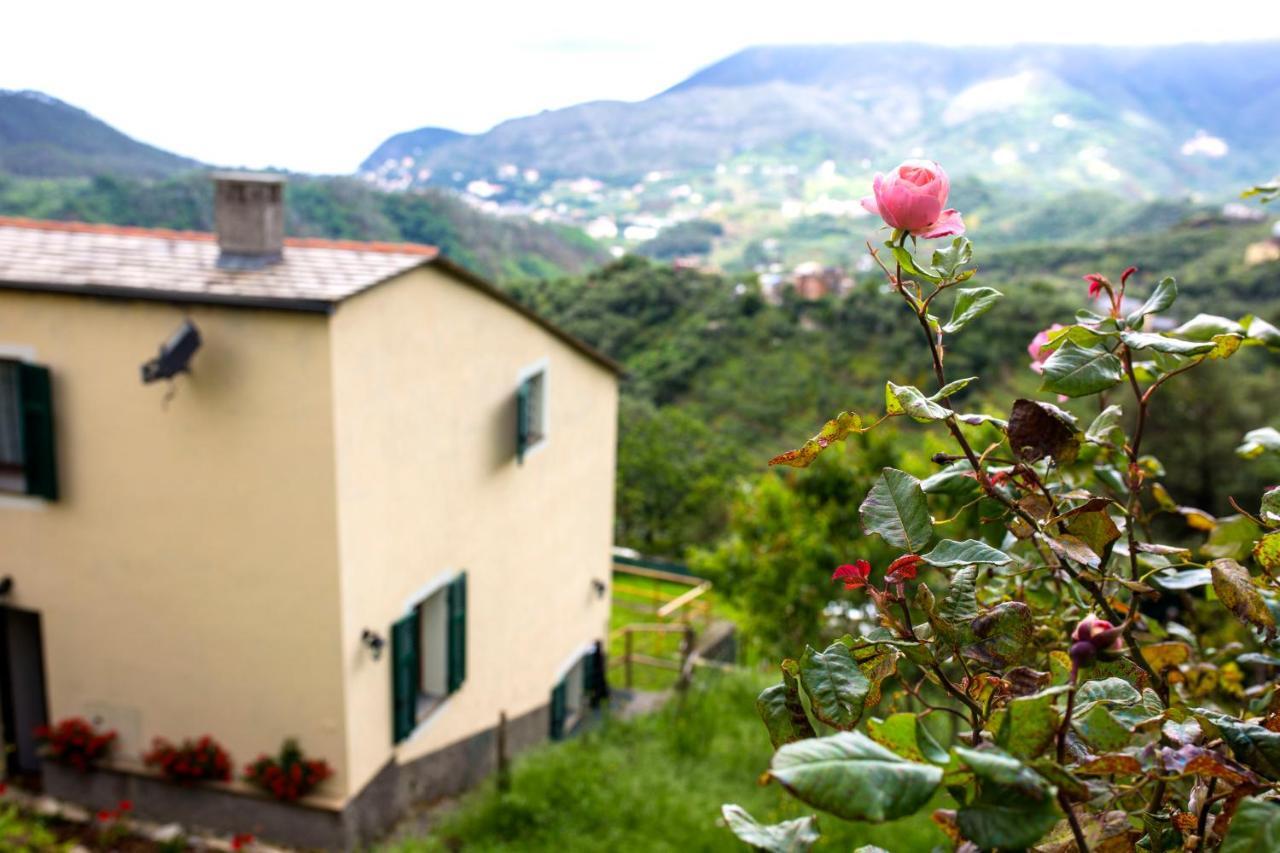 Casa Vacanze Tra Le Mura 莱万托 外观 照片
